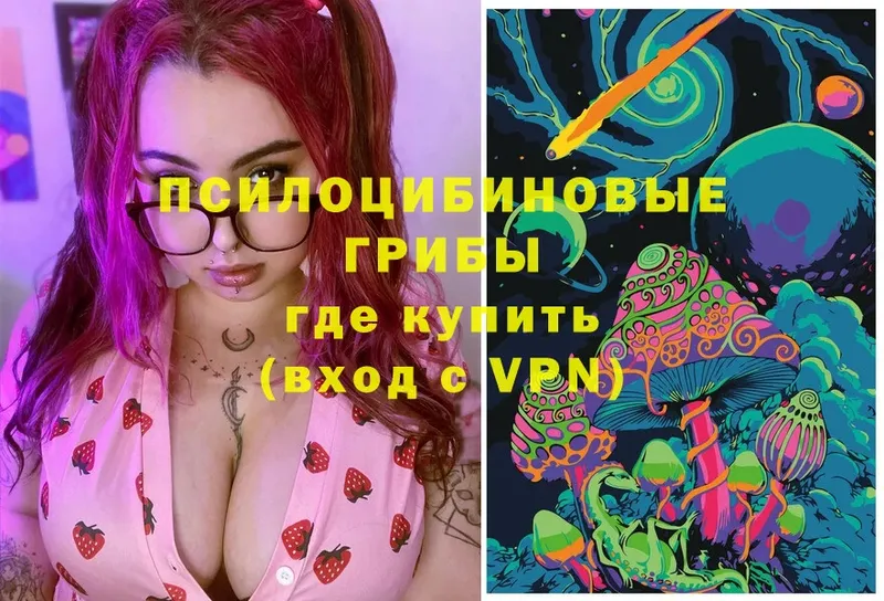 Галлюциногенные грибы GOLDEN TEACHER  купить   Кораблино 